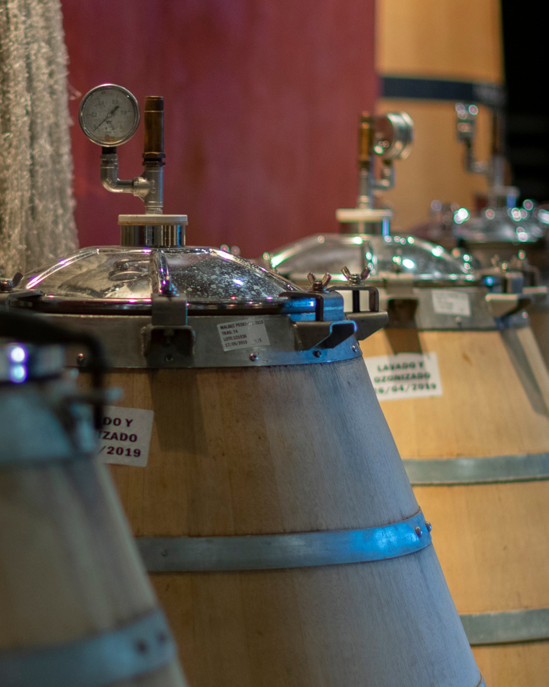 Oak wine barrels at the Susana Balbo winery cellar, Mendoza